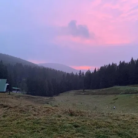 Pur Im Nationalpark Schwarzwald *
