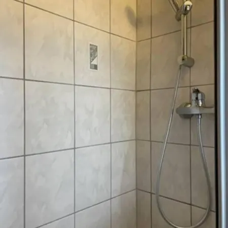 Pur Im Nationalpark Schwarzwald