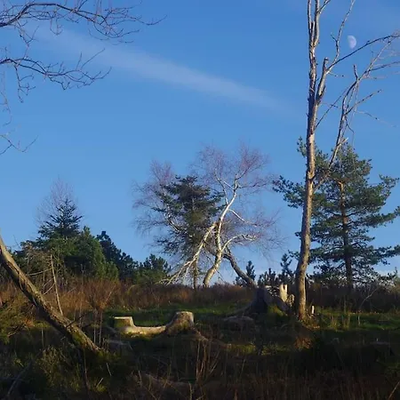 Apartament Pur Im Nationalpark Schwarzwald Weier