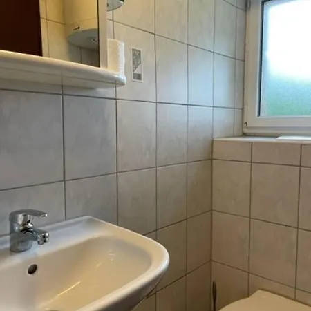 Pur Im Nationalpark Schwarzwald Weier