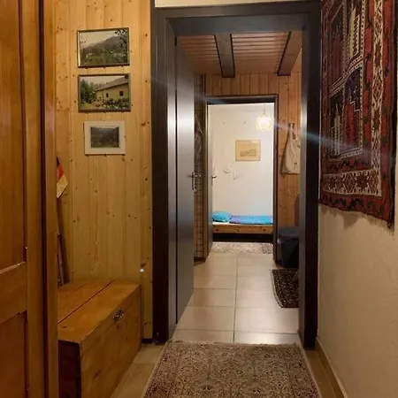 Pur Im Nationalpark Schwarzwald