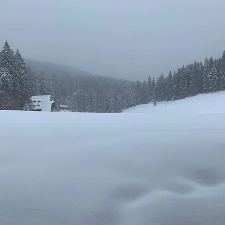 Apartment Pur Im Nationalpark Schwarzwald *