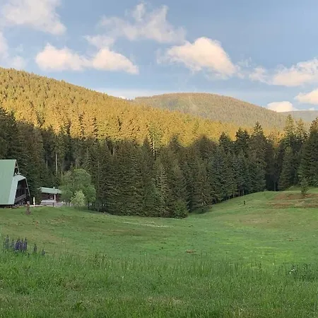 Pur Im Nationalpark Schwarzwald Apartment *