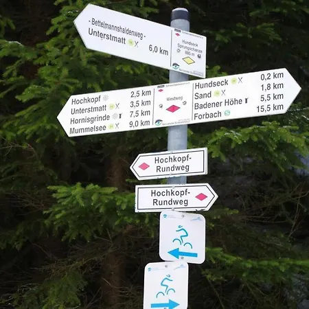 Pur Im Nationalpark Schwarzwald Weier