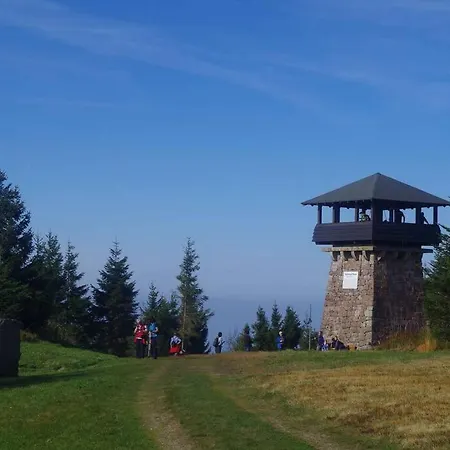 Pur Im Nationalpark Schwarzwald