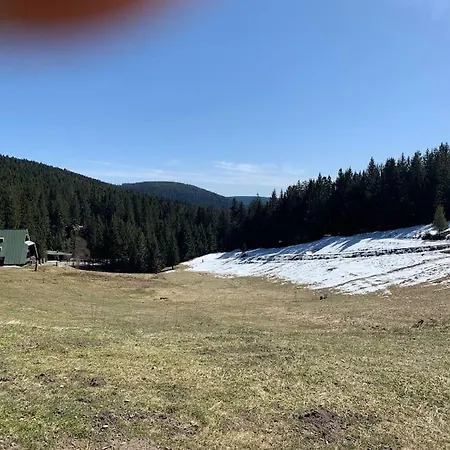 Apartment Pur Im Nationalpark Schwarzwald *
