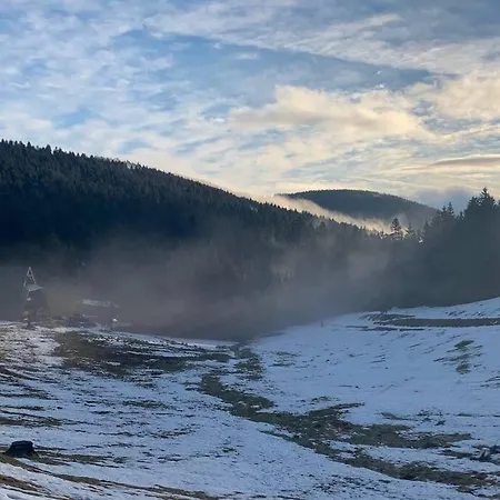 Pur Im Nationalpark Schwarzwald Apartment